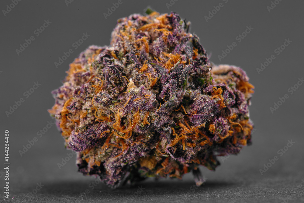 Φωτογραφία Close up of XXX indica strain prescription medical marijuana bud