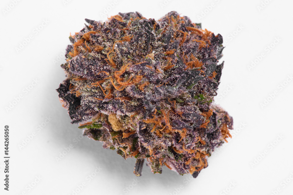 Close up of XXX indica strain prescription medical marijuana bud