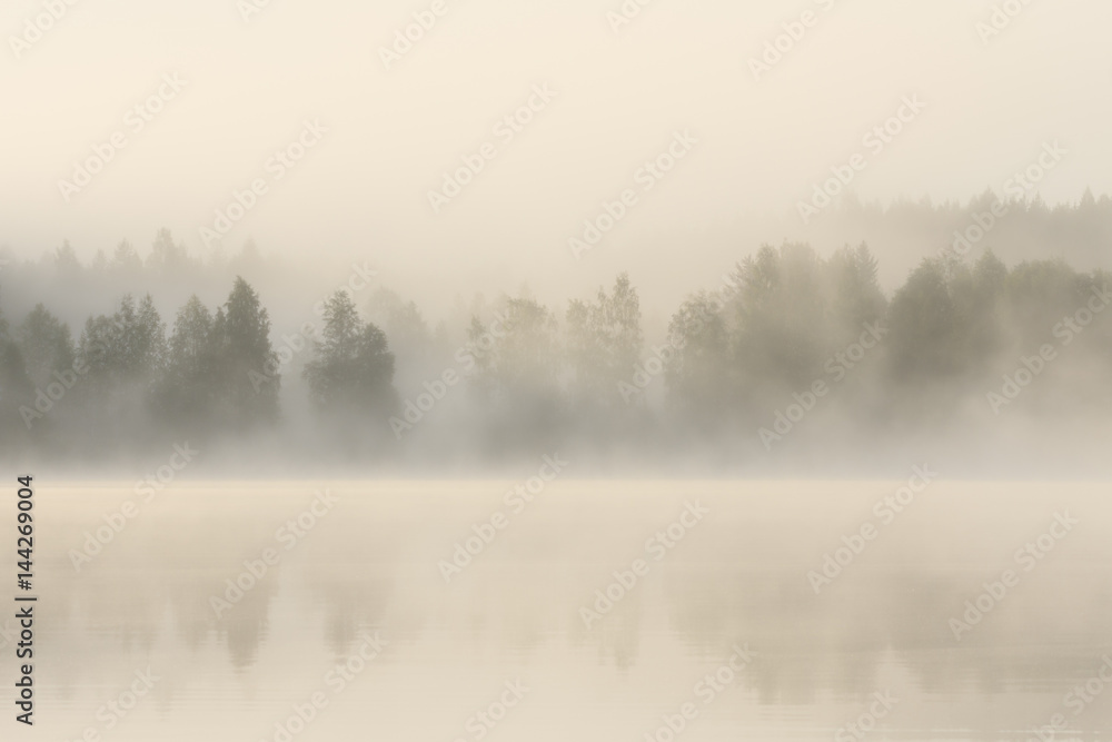 Foggy forest and lake at dawn Foggy forest and lake at dawn