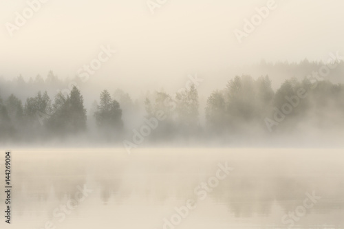 Foggy forest and lake at dawn 