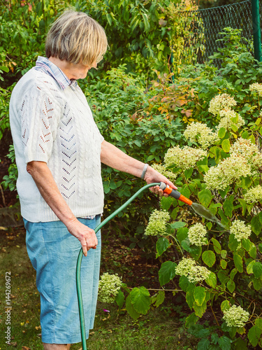 Gardening - senior woman is watering the flowers