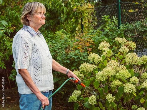 Gardening - senior woman is watering the flowers
