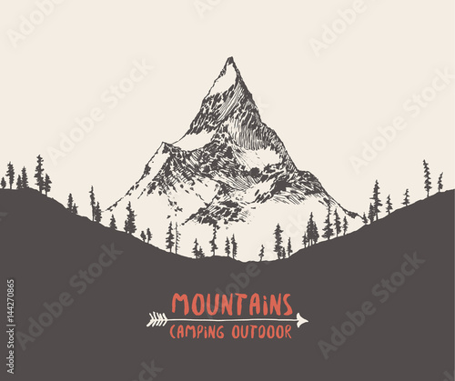 Vector mountain peak pine forest hand drawn