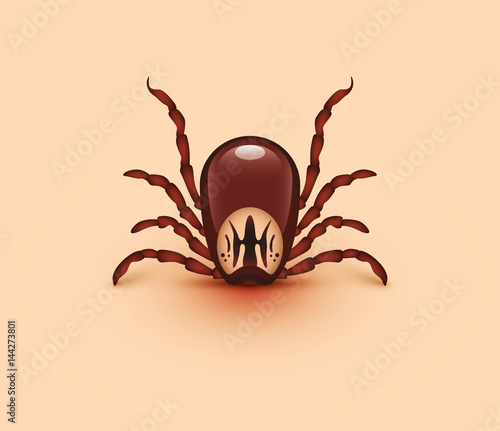 Blood-sucking tick