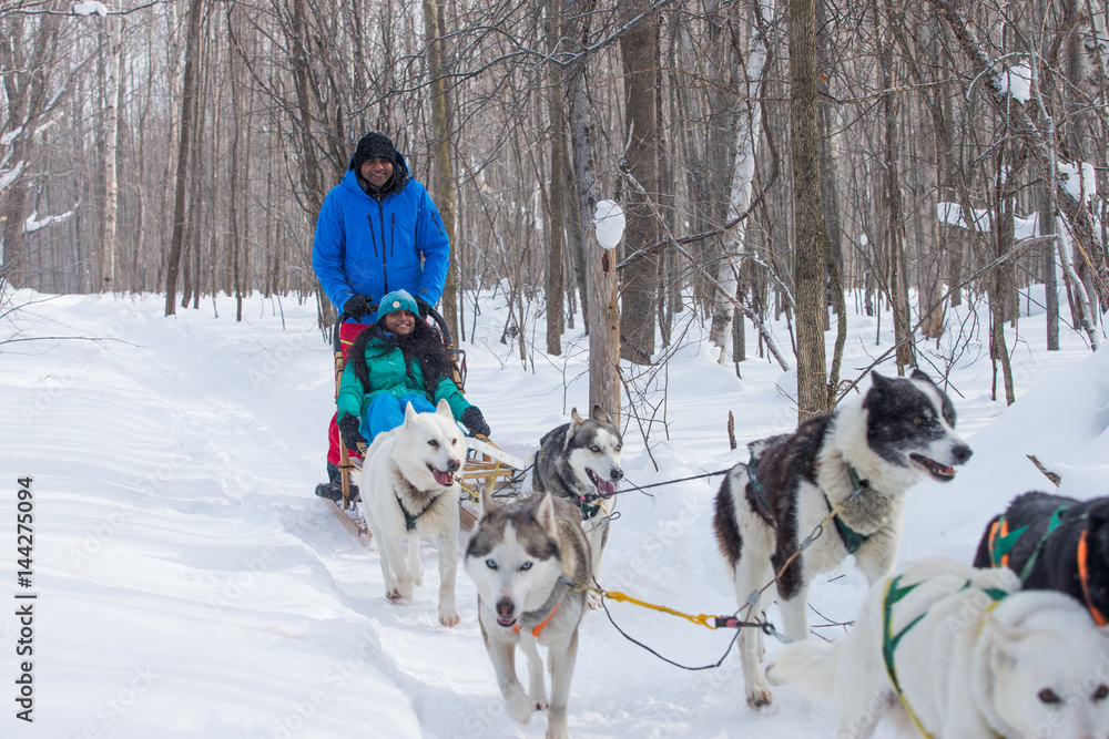 Indian Couple Dogsledding