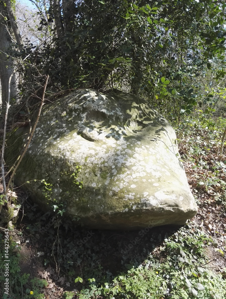 Obraz premium rocher