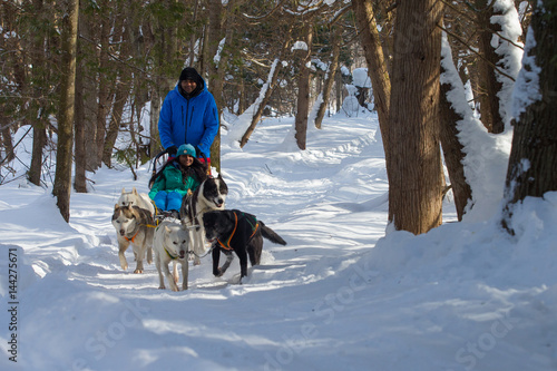 Obraz na płótnie Indian Couple Dogsledding w salonie