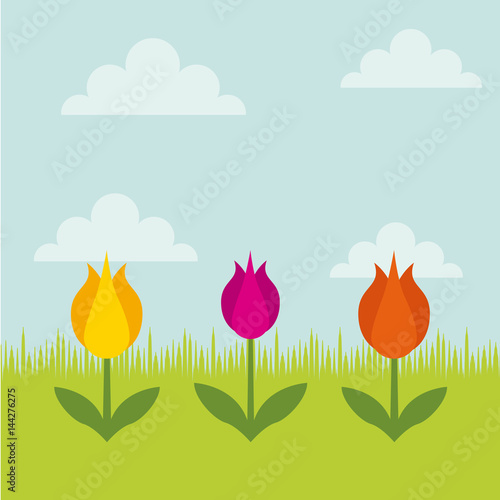 colorful flowers icon over sky background. vector illustration