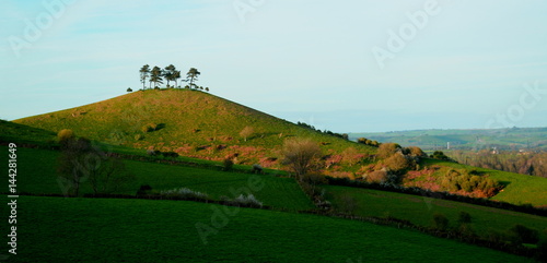 Iconic Colmer's Hill near village of Symondsbury in southwest Dorset, England photo