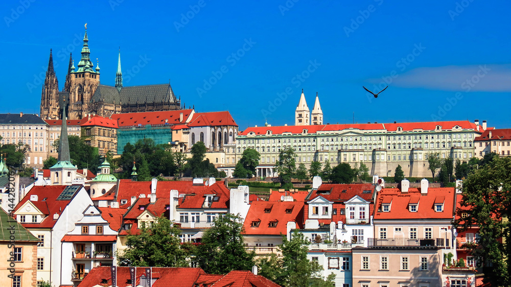 Obraz premium Saint Vitus cathedral with part of the palace complex Hradcany Prague. Czech Republic