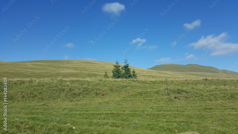 Summer day in the mountains