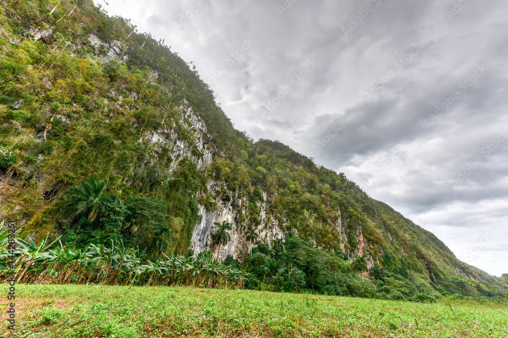 Fototapeta premium Vinales Valley Panorama - Cuba
