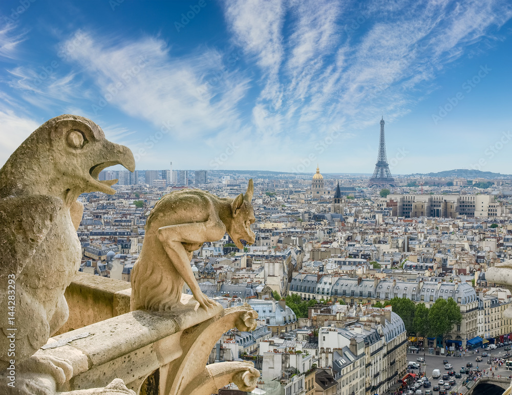 View from Cathedral Notre-Dame with gargoyles on the foreground