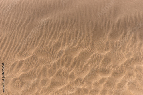Sand beach texture. Brown sandy beach for background © kelifamily