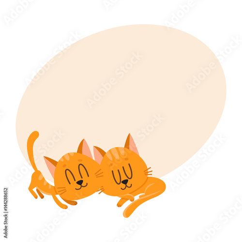 Fototapeta Naklejka Na Ścianę i Meble -  Two cute and funny cat characters sleeping together, cartoon vector illustration with space for text. Couple of cute sleeping, napping, dreaming little red cat, kitten characters