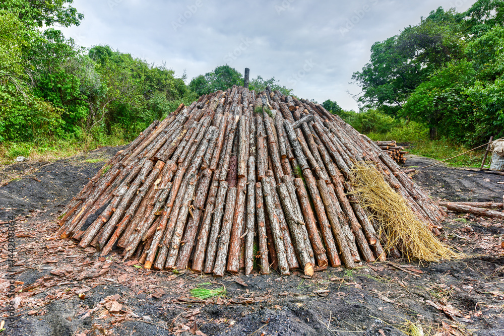 Wood pyre being prepared for the creation of charcoal from pine logs in Vinales, Cuba. Wood pyre being prepared for the creation of charcoal from pine logs in Vinales, Cuba.