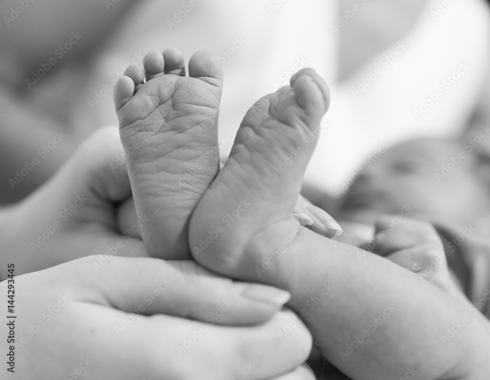 Newborn baby's feet. Newborn baby's feet.