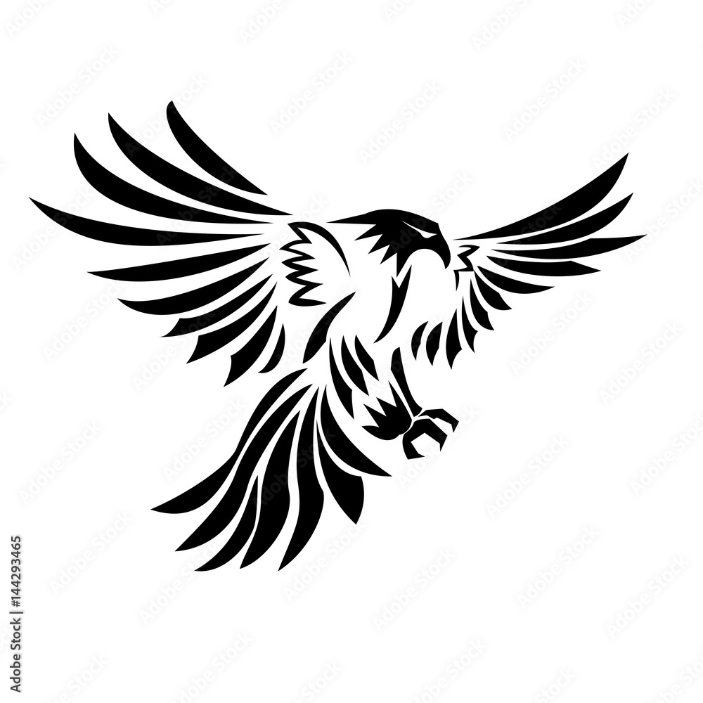 Obraz premium eagle fly