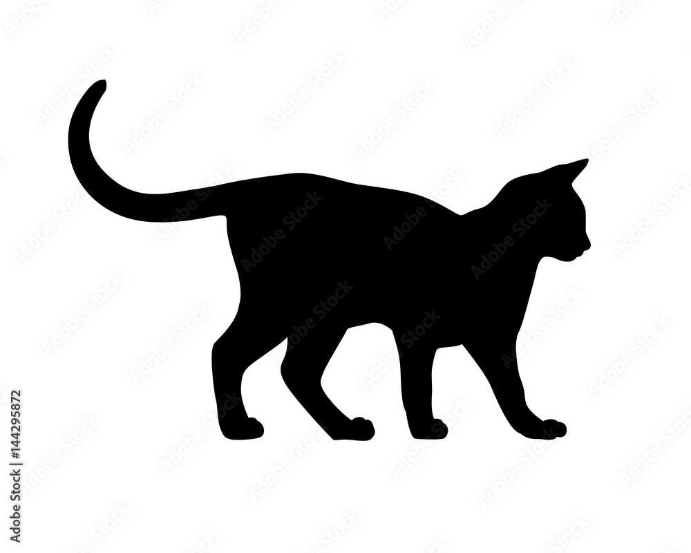 Cat silhouette on white backgruond