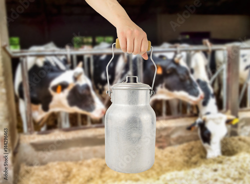 Fotografia catching a milkmaid