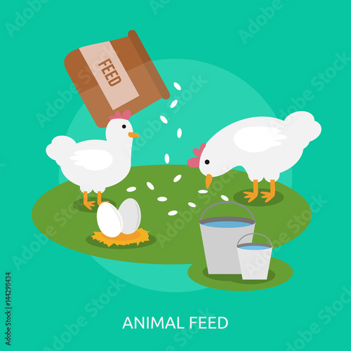 Animal Feed Conceptual Design