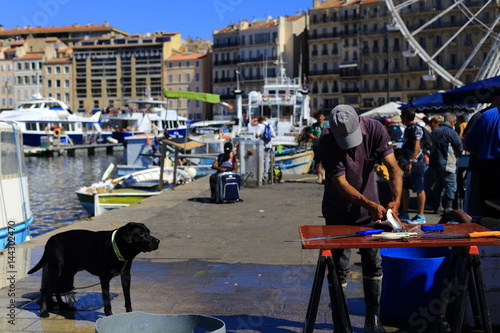 Fisherman is cleaning the fish in old Port of Marseille, Provence, France
