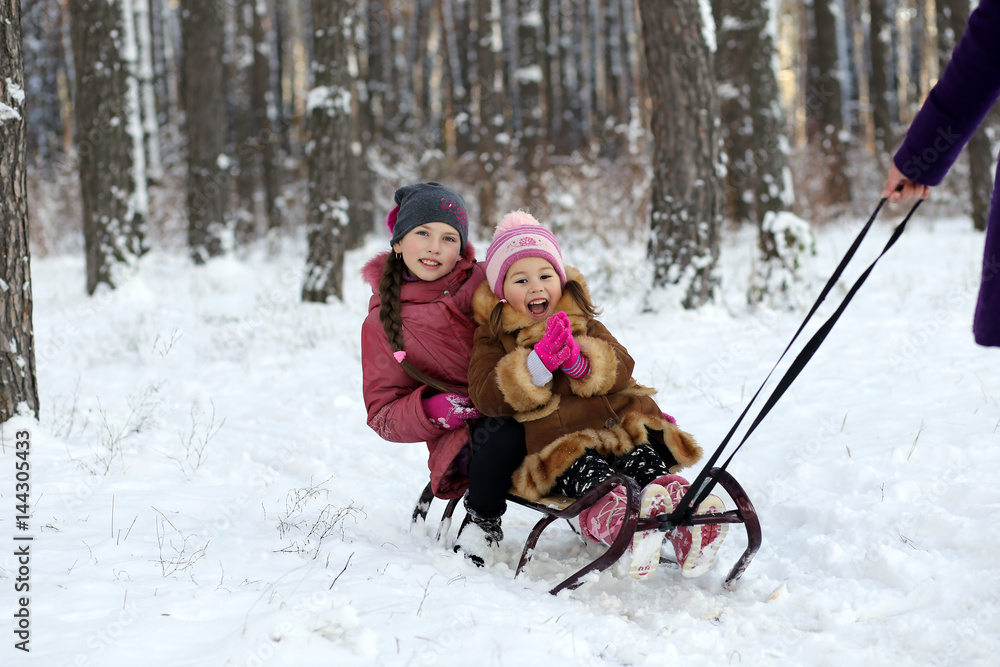 mom rolls the children in winter in the woods on a sled