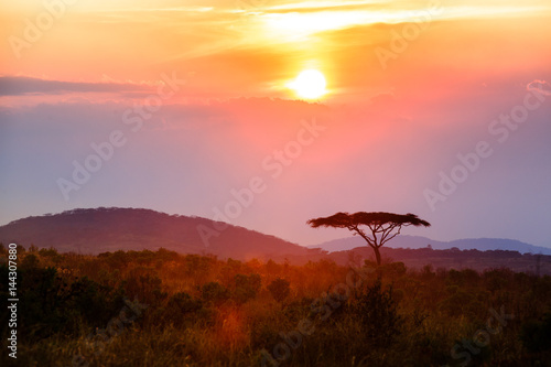 Fototapeta samoprzylepna Zachód słońca w Country Park Narodowy - Malawi