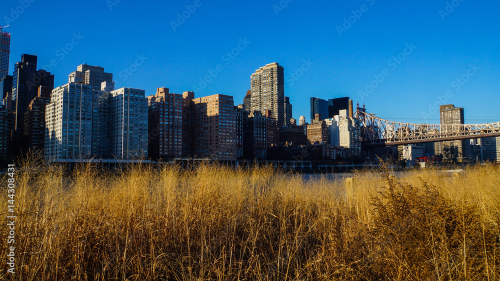 Blick auf New York City von Roosevelt Island am Nachmittag Blick auf New York City von Roosevelt Island am Nachmittag