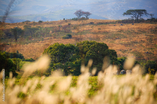 Landscape in Nyika National Park - Malawi photo