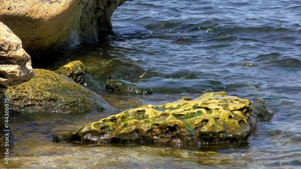 Sea water and coastal rocks during a sunny day on the Black Sea
Sea water and coastal rocks during a sunny day on the Black Sea