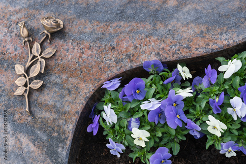 Ein Urnengrab mit Marmorplatte und einer Rose aus Bronze, daneben weiße und lila Stiefmütterchen