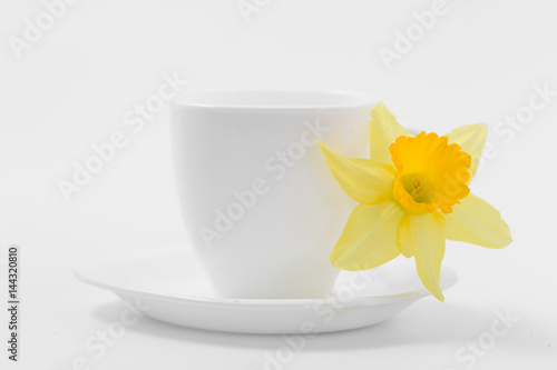 Fototapeta Naklejka Na Ścianę i Meble -  Beautiful spring yellow flowers daffodils on a white background