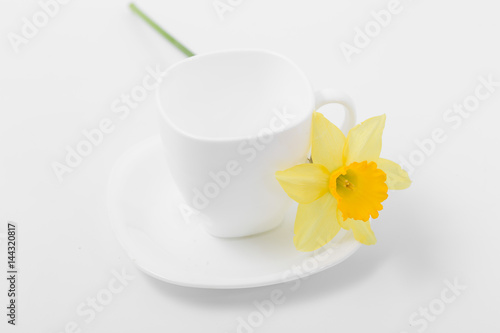 Fototapeta Naklejka Na Ścianę i Meble -  Beautiful spring yellow flowers daffodils on a white background