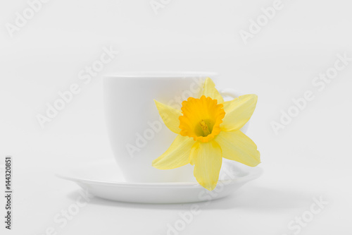 Fototapeta Naklejka Na Ścianę i Meble -  Beautiful spring yellow flowers daffodils on a white background