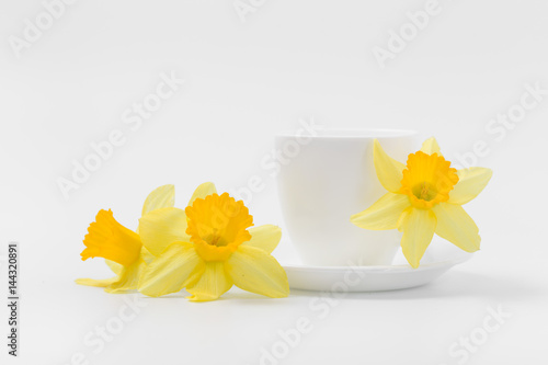 Fototapeta Naklejka Na Ścianę i Meble -  Beautiful spring yellow flowers daffodils on a white background