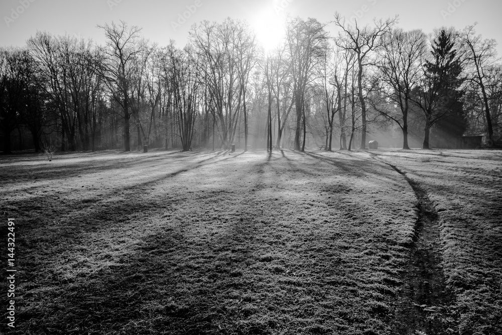 Parco di monza Parco di monza