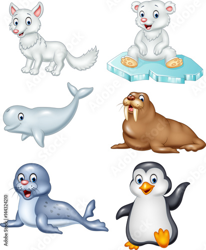 Cartoon arctic animals collection set 