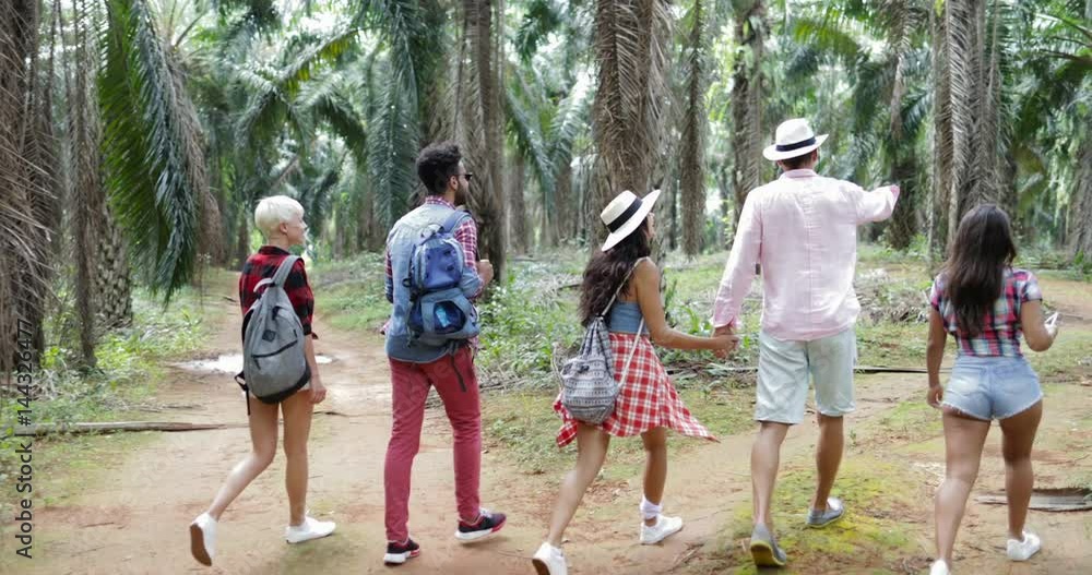 People Group With Backpacks Trekking On Forest Path, Back Rear View Young Men And Woman On Hike In Tropical Palm Tree Park Tourists Slow Motion 60 People Group With Backpacks Trekking On Forest Path, Back Rear View Young Men And Woman On Hike In Tropical Palm Tree Park Tourists Slow Motion 60