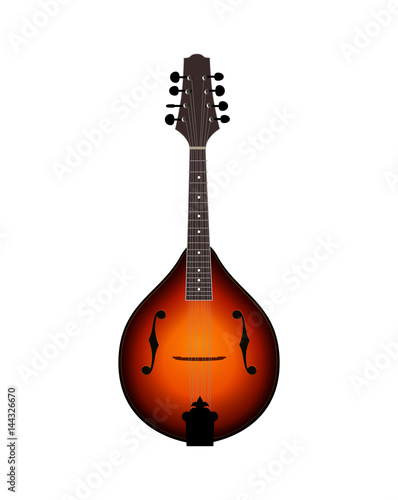 Vector Illustration of Mandolin