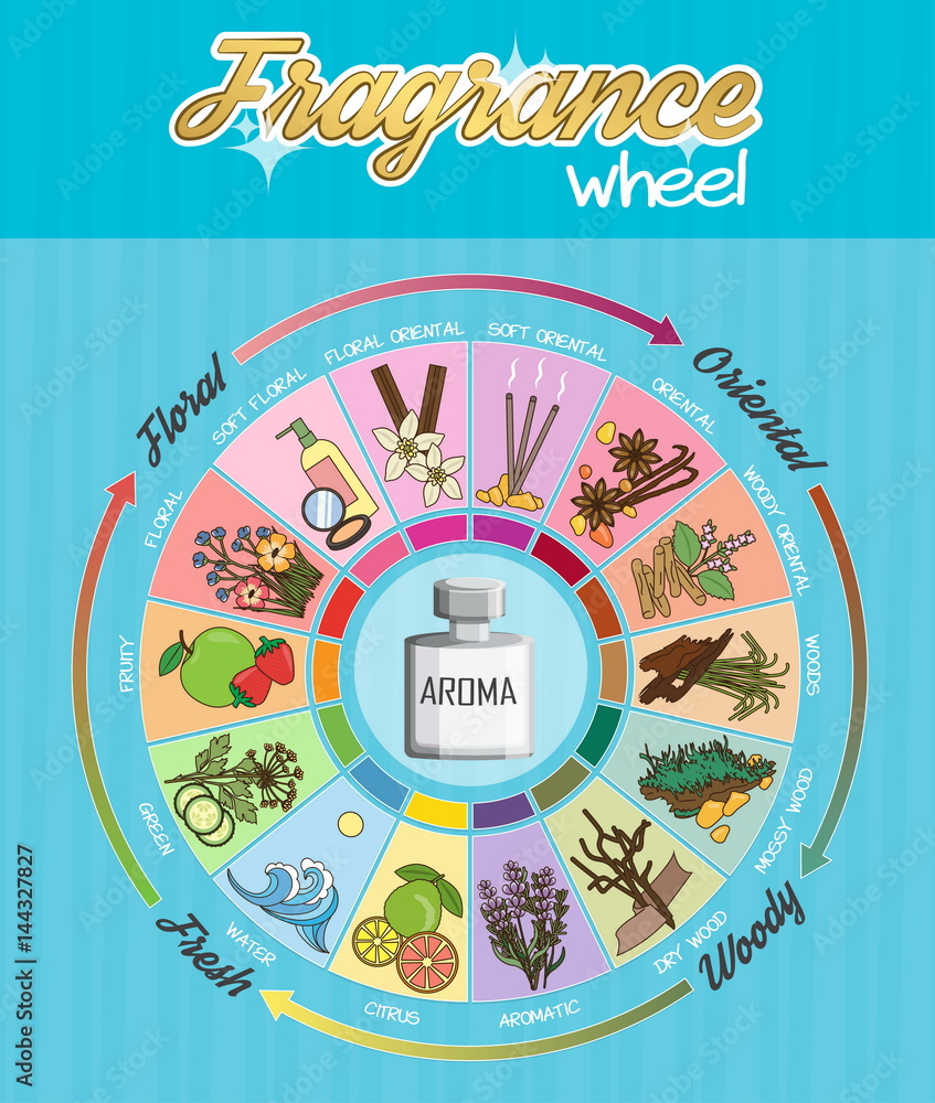 Aroma fragrance guide wheel infographic poster. Stock Vector Adobe Stock