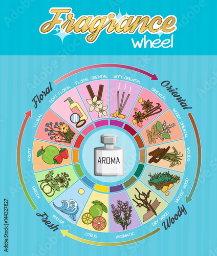 Aroma fragrance guide wheel infographic poster.