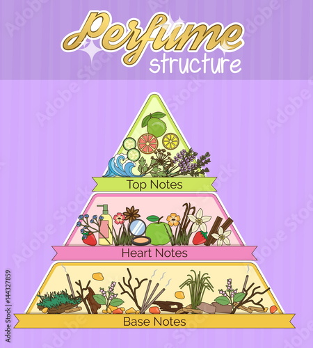 Structure of aroma infographic pyramid poster.