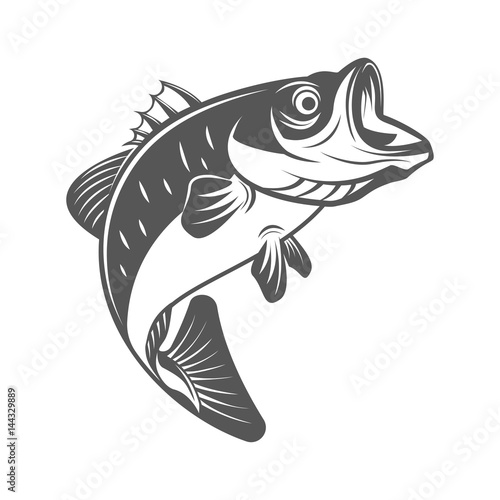 Bass fish vector illustration in monochrome vintage style. Design elements for logo, label, emblem.