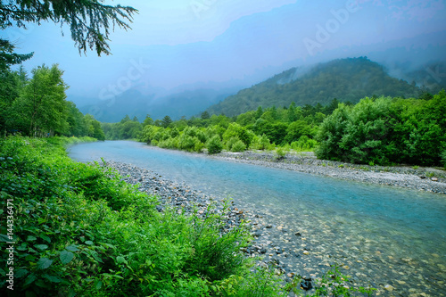 The haven of forest