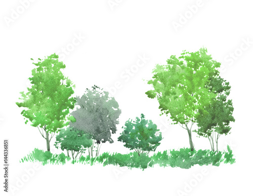 Green forest. Watercolor illustration. Background.
