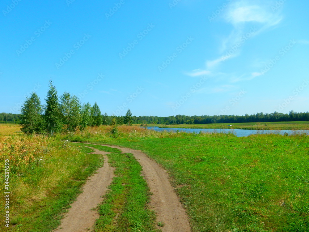 Road to the pond