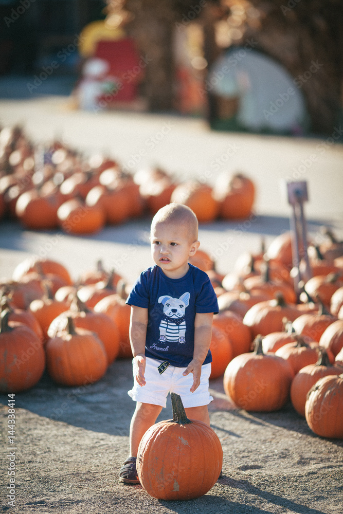 Fototapeta premium Happy little boy with pumpkin