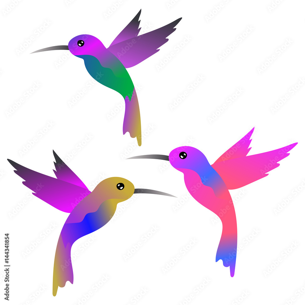 Naklejka premium Hummingbirds vector illustration