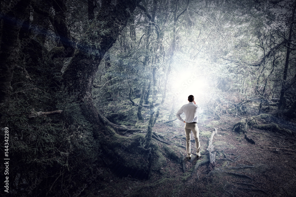 Obraz premium Alone with nature . Mixed media